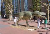 Tyrannosaurus Rex Dinosaurs (DWD041)
