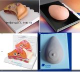Breast Models