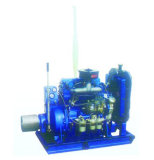 Stationary Power Diesel Engine
