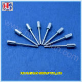 Round Plug Pins, Electrical Round Pins in China (HS-BS-0003)