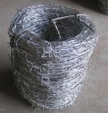 Galvanized Barbed Wire/Barbed Wire Mesh