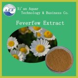 Hot Selling Natural Product Feverfew Flower Extract / Free Samples Feverfew Flower Extract Available for Your Evaluation
