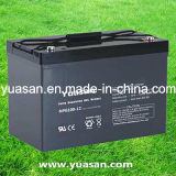 Professionally Manufacturing 12V100 Lead Acid Gel Battery--Npg100-12