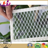 Anti Hail Net for Protect Agriculture