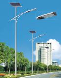 5 Years Warranty CE Approved Solar Street Light 70W