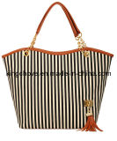 Fashion Ladies Handbag (KCH54)