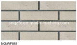 Gray Plain Clay Facade Tile