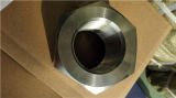 Incoloy 825 Alloy Nut