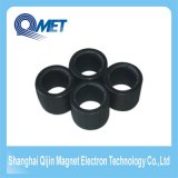 Multipole Radial Ring Permanent Strong Ferrite Magnets