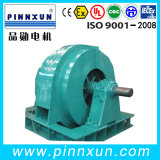 Three Phase Synchronous High Voltage Electric Motor