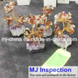 Export Agency/Quality Control Inspection for Gifts