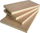 Poplar Construction Plywood