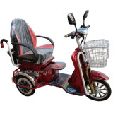 Small Size Disabled Electric Tricycle