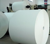 Raw Material Roll Paper for Paper Cup