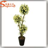 Distinctive Design Evergreen Bonsai Plant Tree