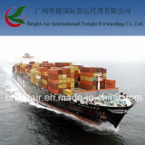 Efficient Sea Freight From China to Barranquilla, Colombia