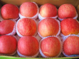 2014 China Fresh FUJI Apples