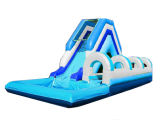 2010-S-002 Inflatable Water Slide
