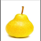 Laiyang Fresh Pear for Promotion
