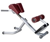 Body Building Machine / Roman Chair Tz-6026 /Gym Fitness Equipment