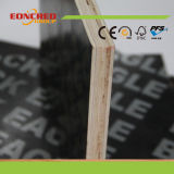 Waterproof Construction Plywood / 18mm Film Faced Plywood