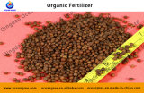 Excellent Manufacturer for Organic 90% Plant Soybean Organic Fertilizer for Fruit Tree and Crops and Flowers Agriculture Useing