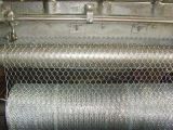 High Tensile Hex Wire Mesh Netting