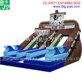Adult Size Inflatable Water Slide, Giant Inflatable Slide (DJWS014)
