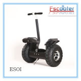 Electric Motor Tricycle Motorcycle with CE
