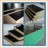 Black Film Faced Plywood, Concrete Formwork Plywood with Logo