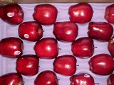 Sweet Red Fresh Huaniu Apple Supplier