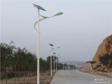 Hot Sale Galvanized 8m Pole 40W LED Solar Street Light