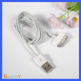 High Selling Record USB Charging Cable for iPhone4 (GW-003)