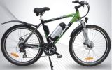 Electric Bicycle (TDF119Z)