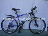 Blue Beautiful Mountain Bicycle with Lowest Price MTB-043