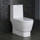 Toilet Appliance (Z3060433)