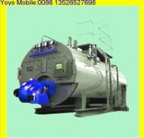 Super Quality Gas Steam Boiler (WNS)