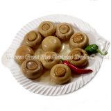 Provide a Wide Range of Canned Mushroom for Canned Vegetables