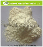 2014 New Garlic Powder 100-120 Mesh