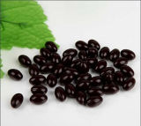 Grape Seed Extract Natural Plant Extract Grape Seed Extract