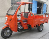 250cc Closed Three Wheel Motorcycle Tricycle with Cabin
