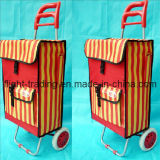 High-Capacity Match Color Trolley Case