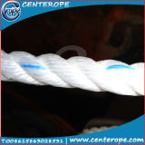Twisted PP Rope/PP Danline