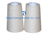 China Manufacturer High Strength RW Polyester Spun Yarn