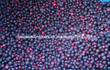 IQF Wild Blackberries