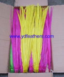 Dyed Bleached Ringneck Pheasant Tail Feather