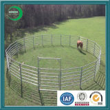 Cheap Cattle Fence (Livestock panel)
