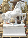 Stone Marble Horse Animal Sculpture for Garden Statue (SY-B158)