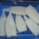 Frozen Illex Squid Tube (U10)