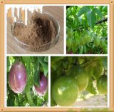 Passiflora Incarnata Extract 3.5% 4% Flavones,